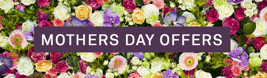 Mothers Day Offers