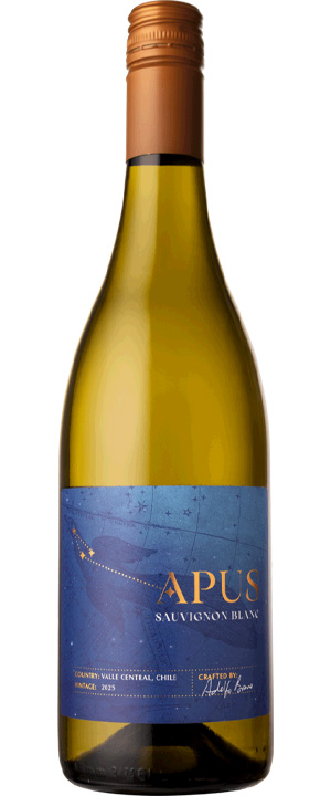 Bottle of Apus Sauvignon Blanc, Central Valley, Chile