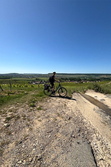 Hautvilliers Vineyards