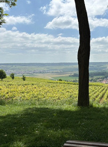 Hautvillers View Point