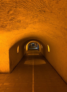 Moet Cellar Tour