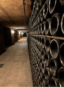 Moet Cellar Tour