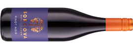Sorcova Pinot Noir