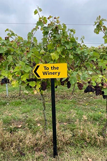  Balfour Winery Sign 