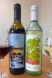 Wine52 Free Case South Australia White and Red Wines