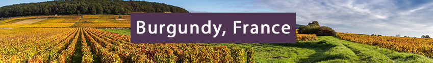 Burgundy Wine Region