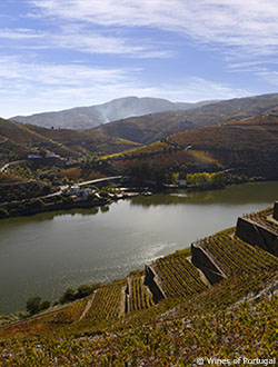 View on Douro Vineyard hills with a lake in the center