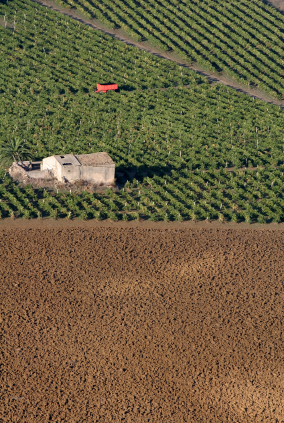 Sicilian Vineyard ploughed soil country house